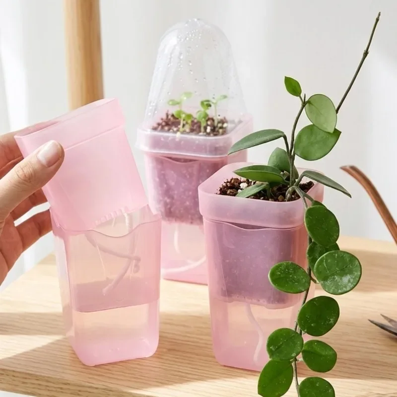 أواني زراعة شفافة وردية ذاتية  - مراجعة Self-Watering Planter وسعره