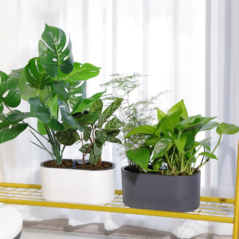 نبات داخلي مع مؤشر خشبي الساق  - مراجعة Automatic Plant Waterer وسعره