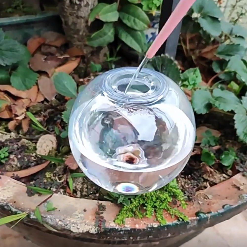 كرات ري ذاتية سعة 500 مل، نظام - مراجعة Self-Watering Planter وسعره