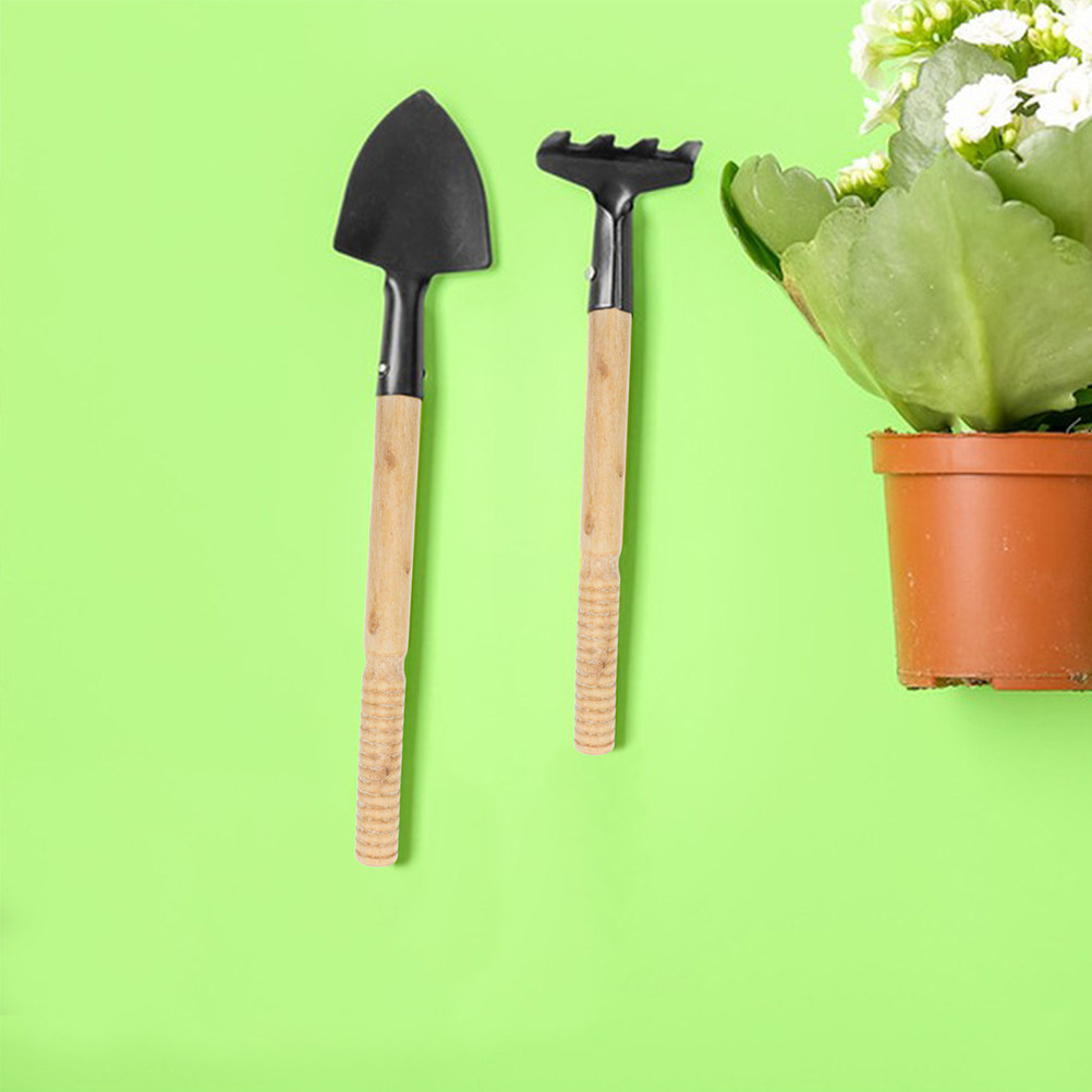5 قطع من مقابض الخشب المتينة ا - مراجعة Gardening Tools Vegetables وسعره