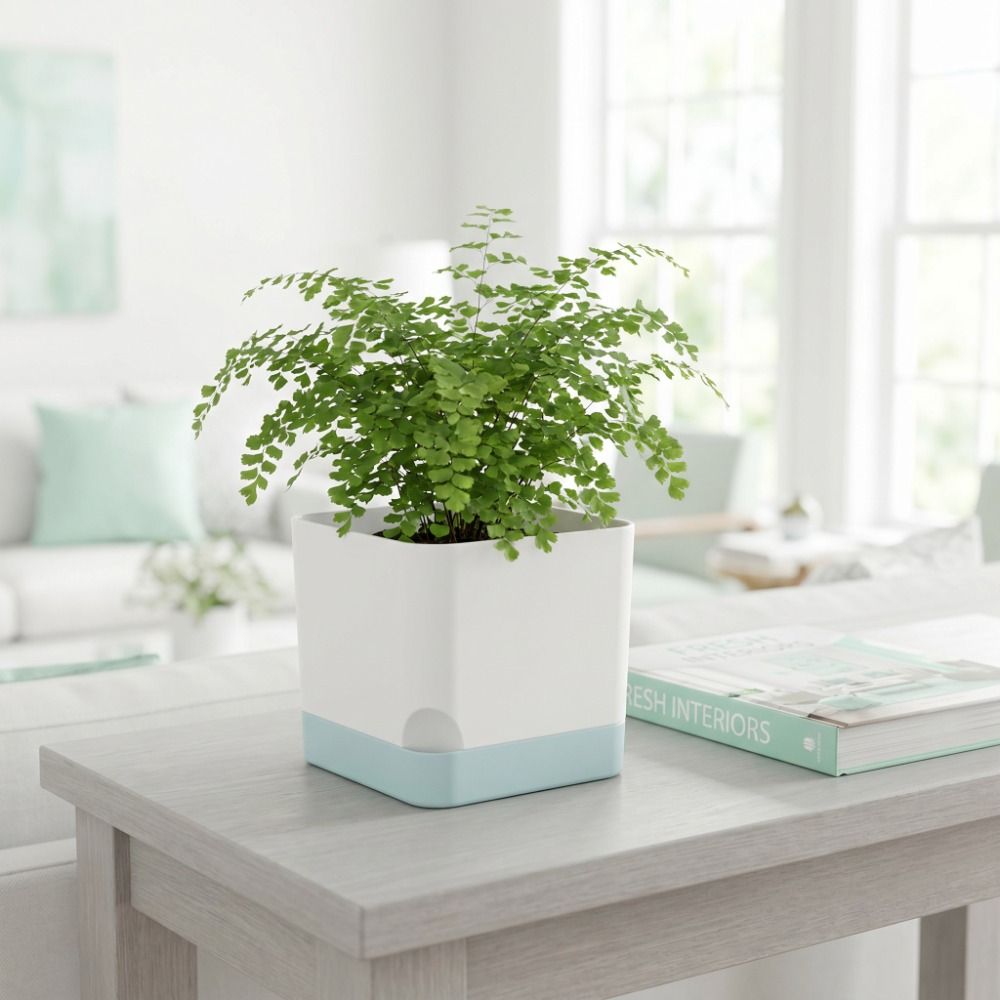 أواني نباتات مربعة الشكل ذاتية - مراجعة Self-Watering Planter وسعره