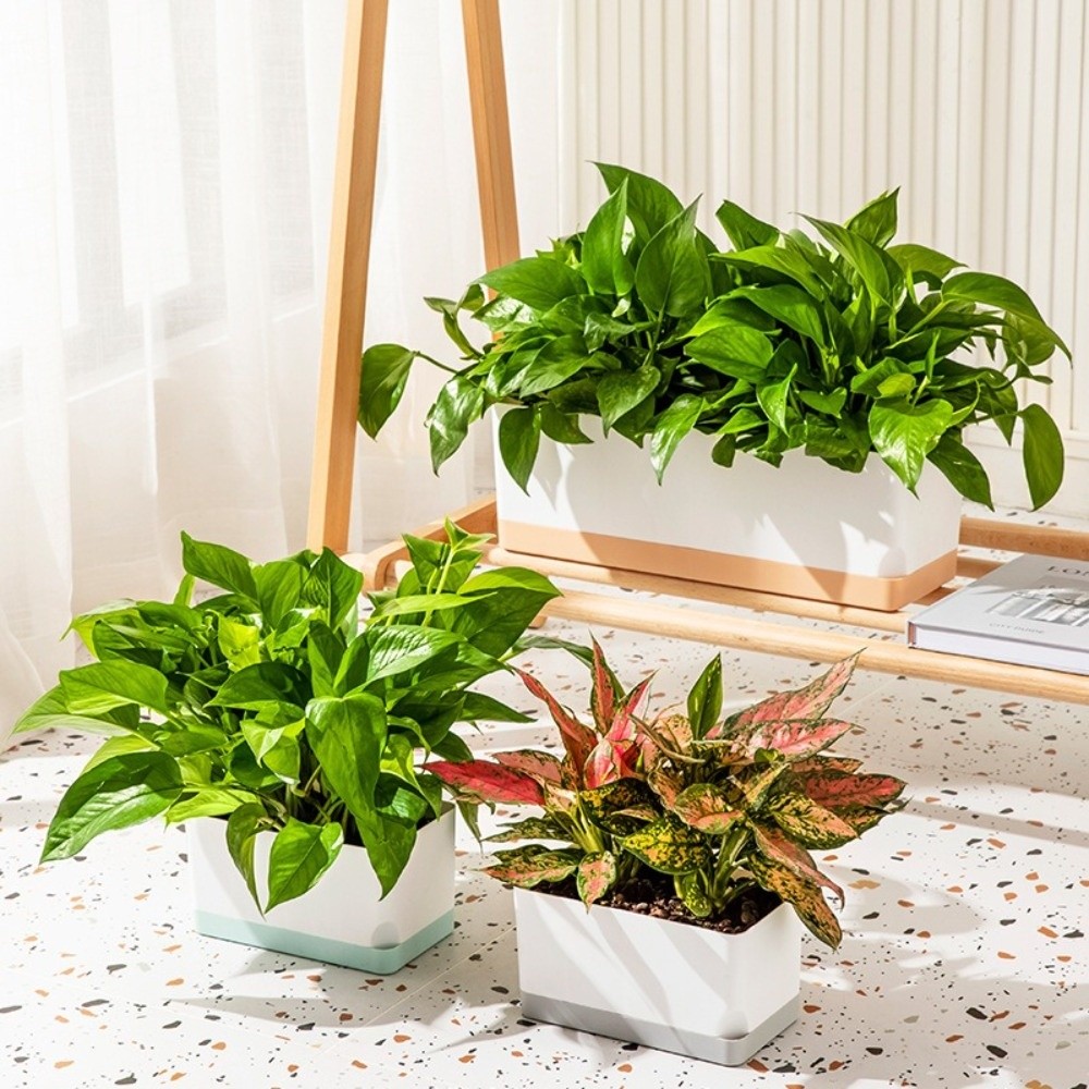 أواني نباتات مربعة الشكل ذاتية - مراجعة Self-Watering Planter وسعره