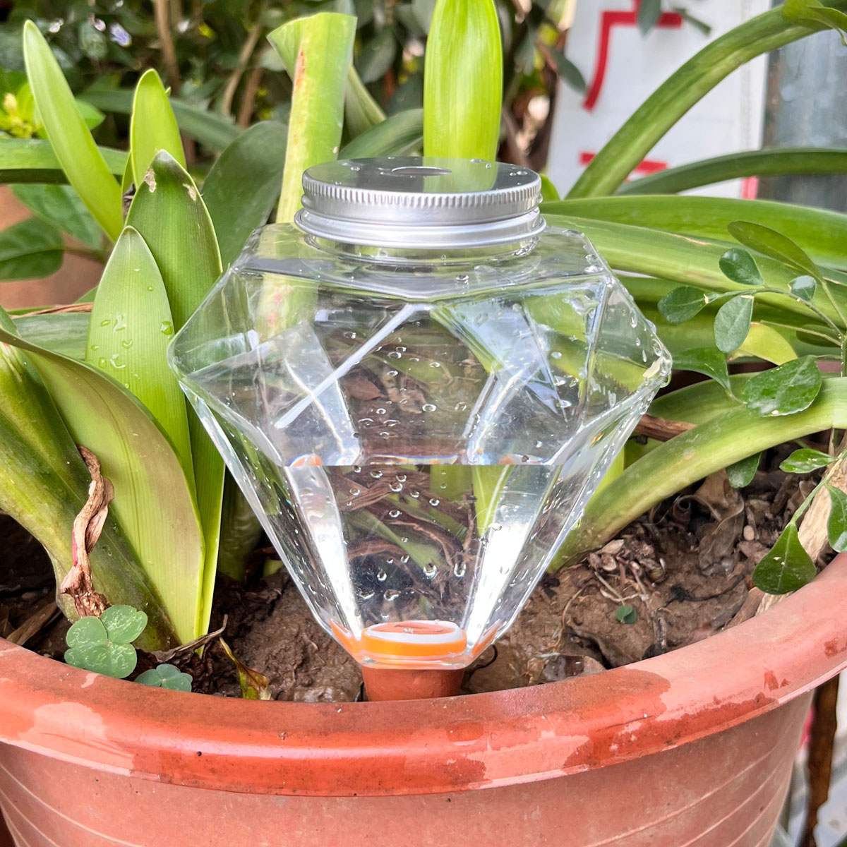 قطعة واحدة من جهاز سقي نباتات  - مراجعة Automatic Plant Waterer وسعره